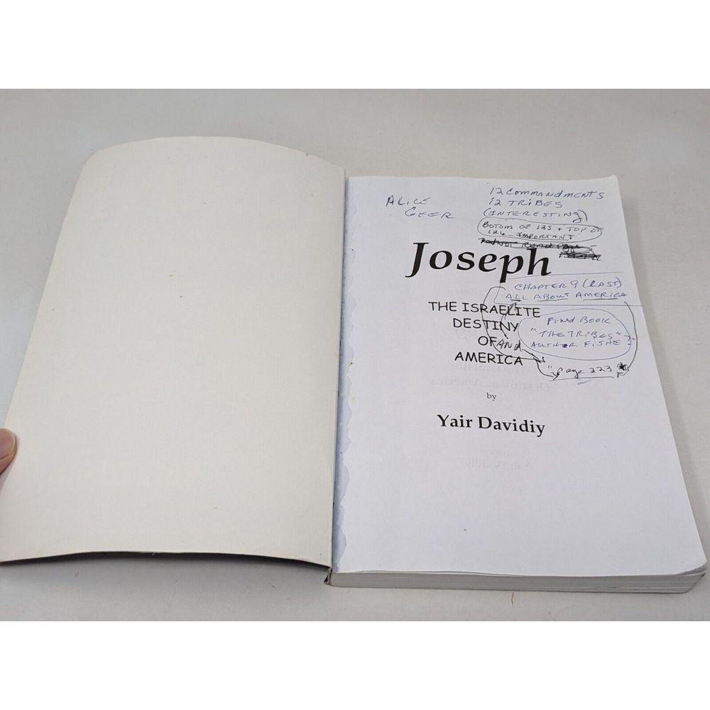 Joseph The Israelite Destiny Of America 2nd Edition 2001 Book Yair Davidi - Picture 5 of 15
